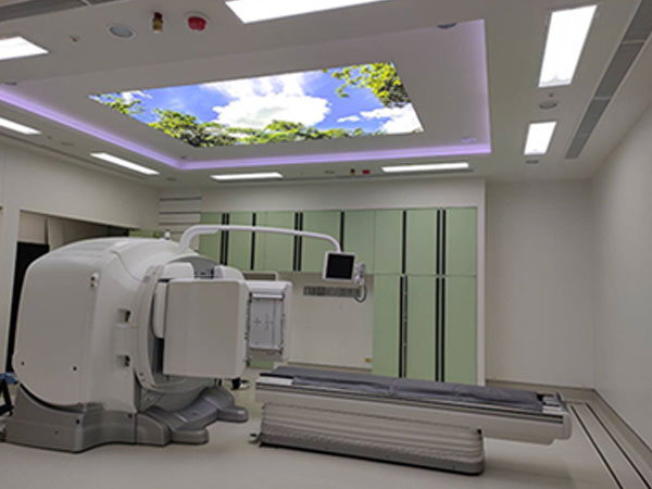 caption for image 1